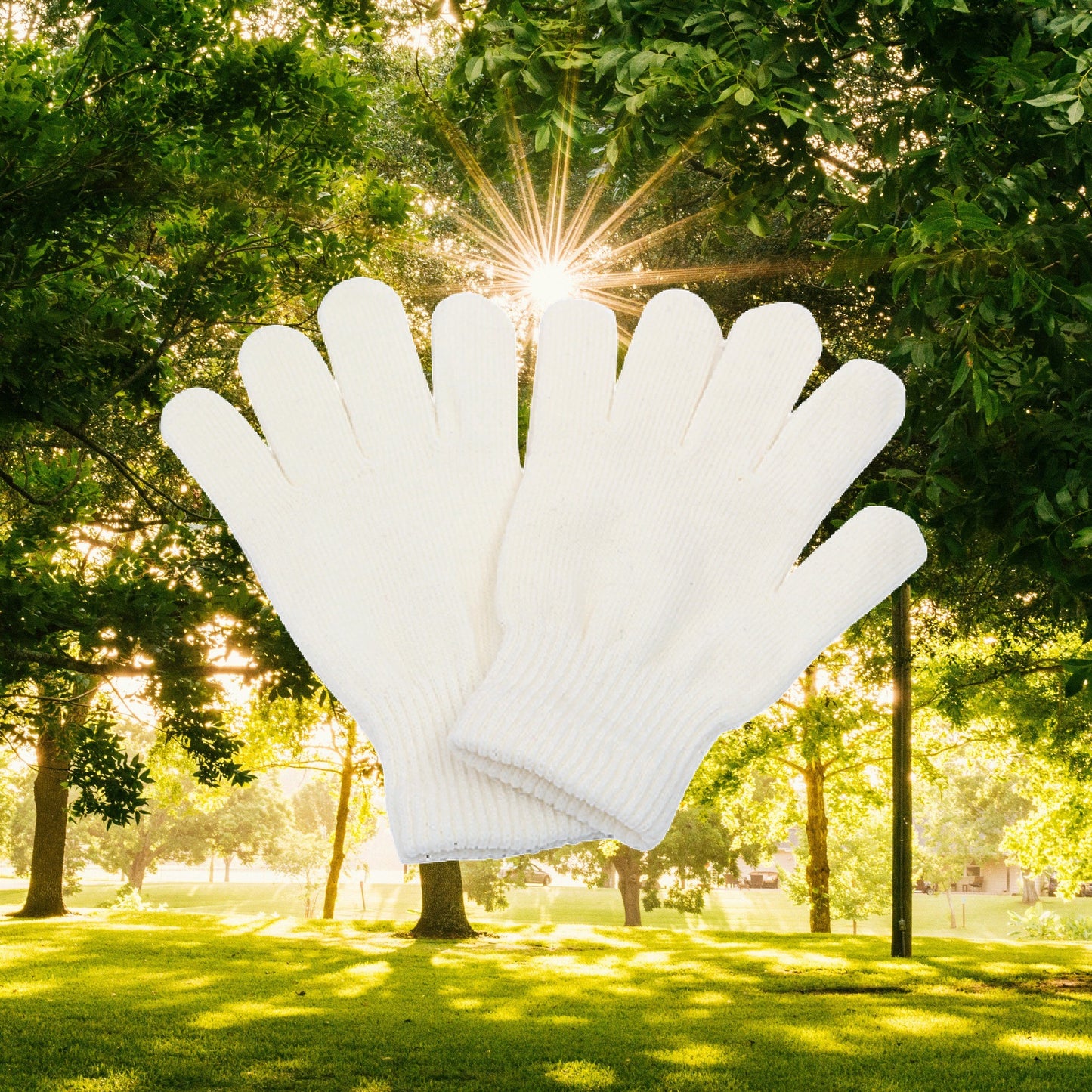 Gloves