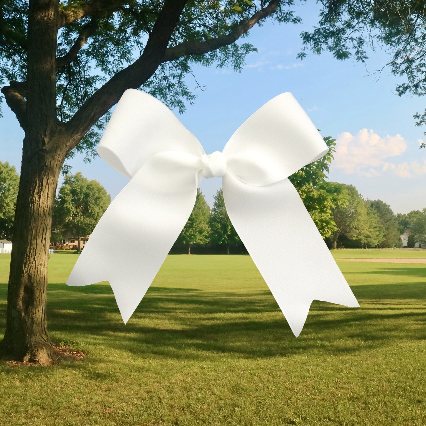 White Bow