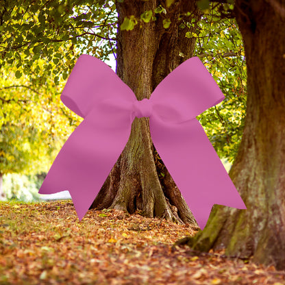 JV Pink Bow