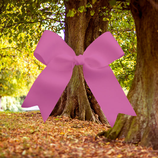 JV Pink Bow
