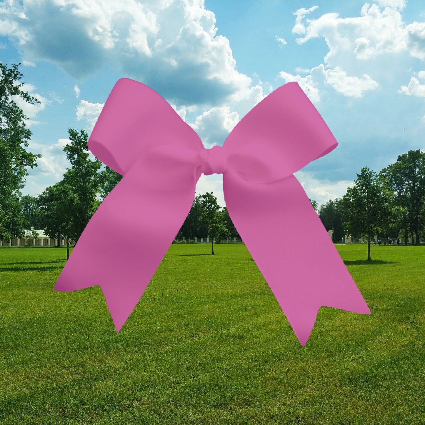 SS Pink Bow